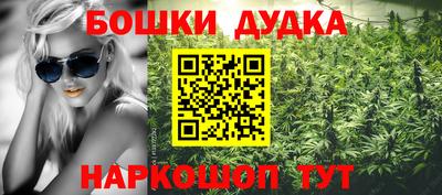 Альфа ПВП Сланцы
