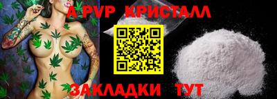Альфа ПВП Сланцы