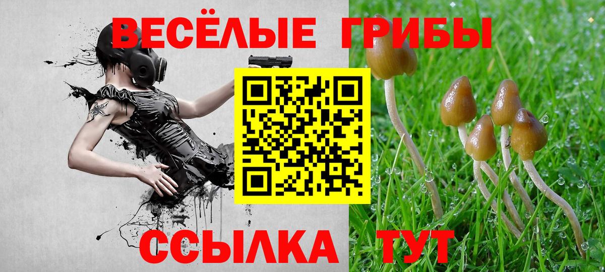 Назарово  Галлюциногенные грибы MAGIC MUSHROOMS  Вход с VPN  Галлюциногенные грибы ЛСД 