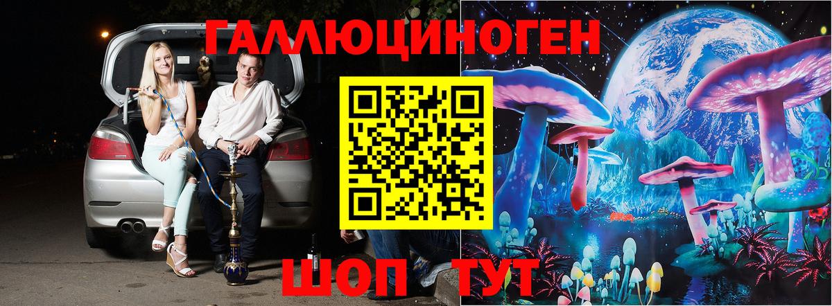 Псилоцибиновые грибы Cubensis Назарово